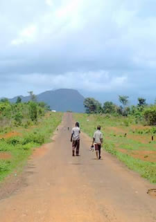 Children returning from school, Freetown Peninsular